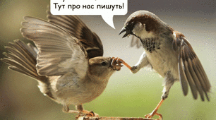 Зовнішня будова птахів. Скелет.