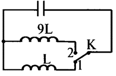 04010yaw-3662-235x153.png