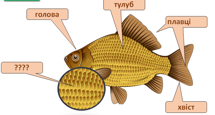 0401110w-b6d3-719x384.png