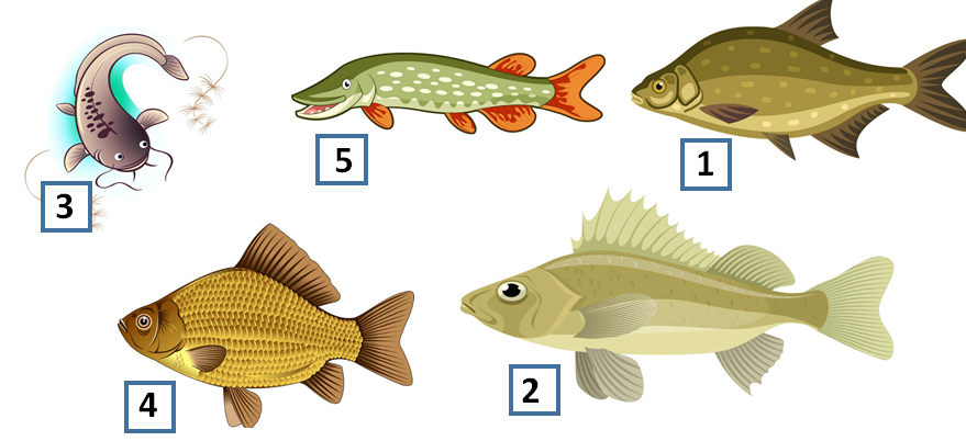 040112fd-a1f7-879x402.png
