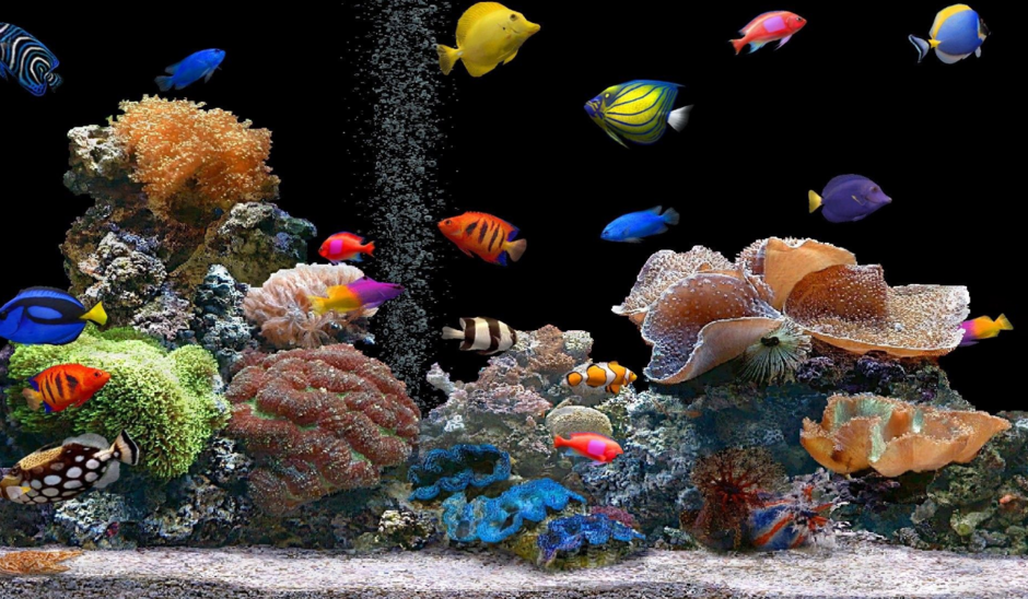 040112tv-45d0-940x548.png
