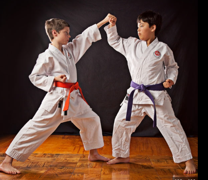 040115sw-d7aa-427x371.png