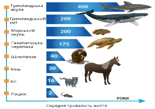 040118ea-7bad-644x454.png
