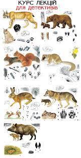 Молодше юнацтво Archives | Сторінка 3 з 6 | Пластова банка