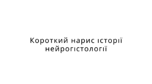 Короткий огляд історії вивчення тканини мозку
