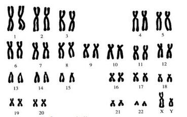 04011f7f-3a69-369x231.jpg