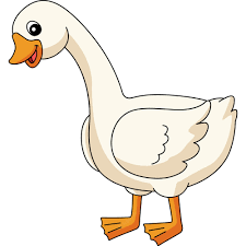 04011feq-67dc-225x225.png
