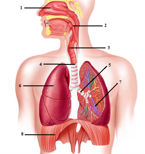 04011fj1-6651-500x532.png