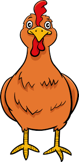 04011fj9-64be-157x322.png