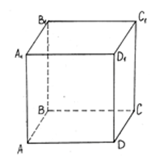 04011no4-9f4f-221x233.png