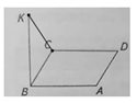 04011nsv-4165-125x94.png