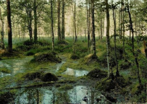 04011p9w-c4cf-490x348.png