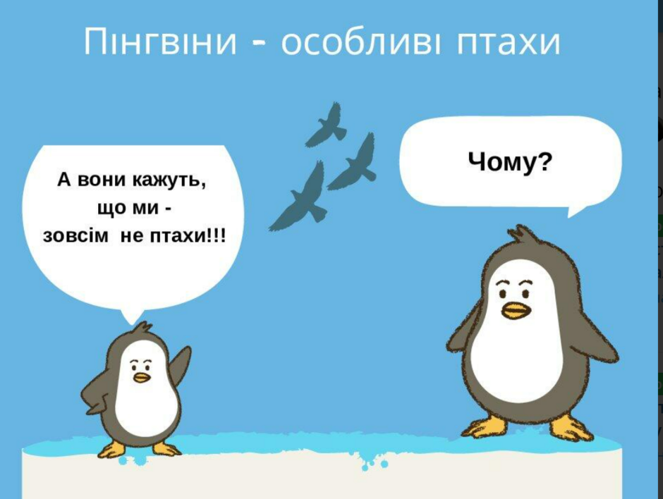 04011pi6-546f-940x708.png