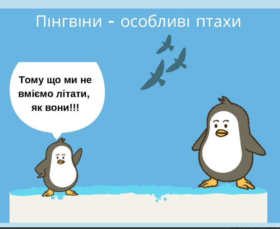 04011pi9-59a2-938x768.png