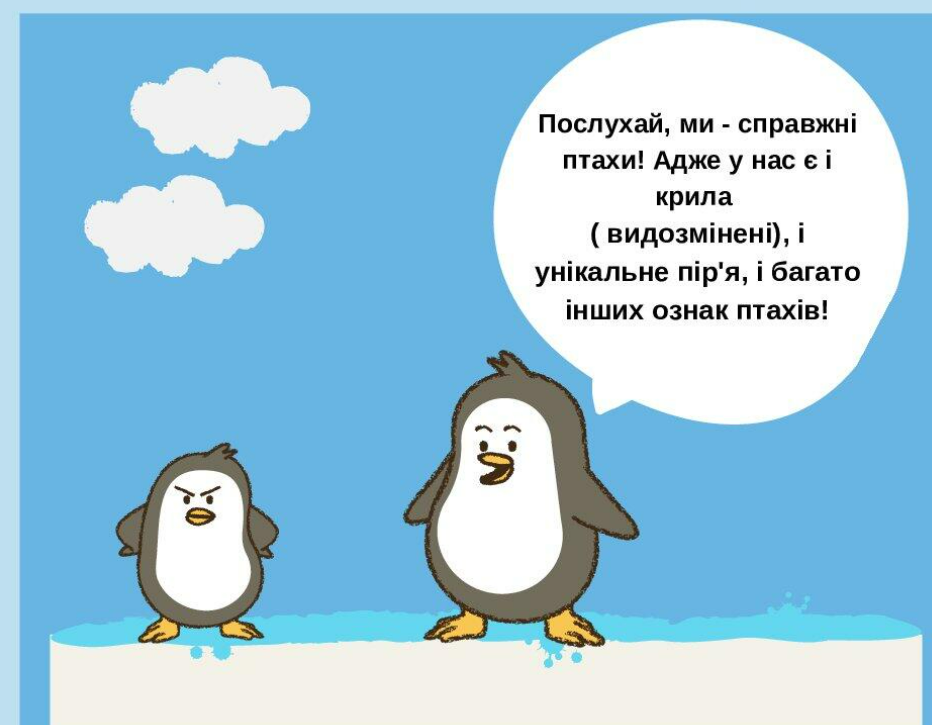 04011piq-23f7-932x725.png