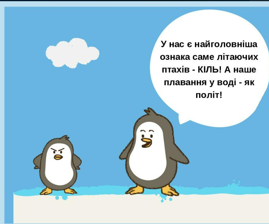 04011pj0-0a2a-901x749.png