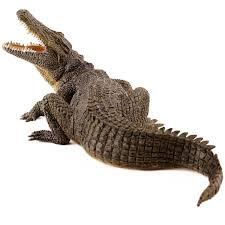 Нільський крокодил Nile Crocodile, ціна 571 грн — Prom.ua (ID#1084811445)