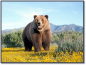 04011w8w-70f3-177x135.png