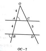04011xnk-ae11-162x179.jpg