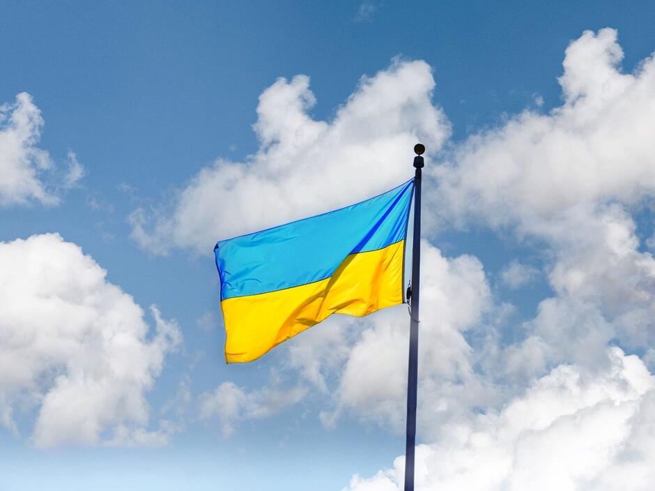 7 грудня в Україні святкують День працівника державної виконавчої служби / © Pexels