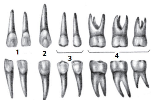 04011ycg-7dc2-537x327.png