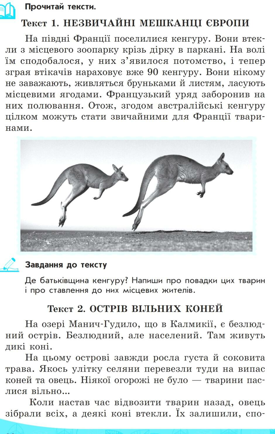 04011ydh-857e-940x1479.png