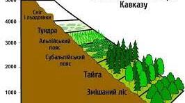 Презентація "Євразія. Висотна поясність"