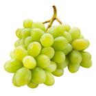 Green Seedless Grapes (3 lbs.) - Sam's Club