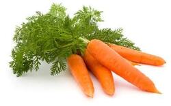 Opinion about Carrot - Kompasiana.com