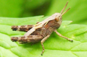 040120ta-9d8d-300x196.png