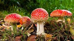 040120vr-8aa9-252x142.jpg