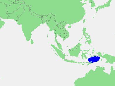 0401210t-6092-393x294.png