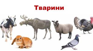 (Копія) Діагностувальна робота з теми: "Тварини. Різноманітність тварин у природі"