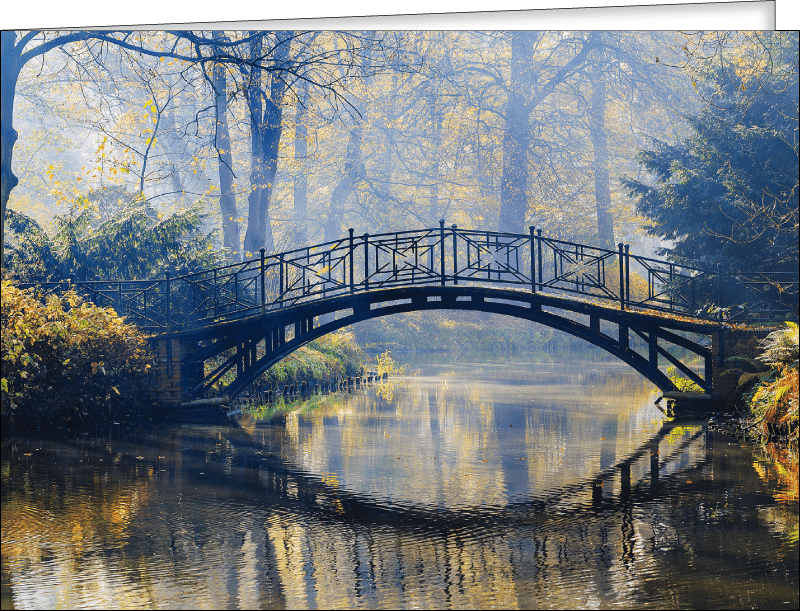 04012237-a124-800x611.png