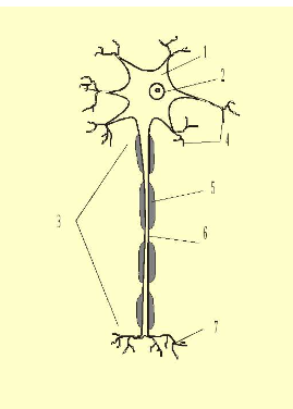 040122la-60cb-269x376.png