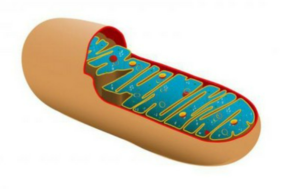 040122sr-c9e6-603x376.png