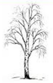 040123c4-eb4c-169x265.png