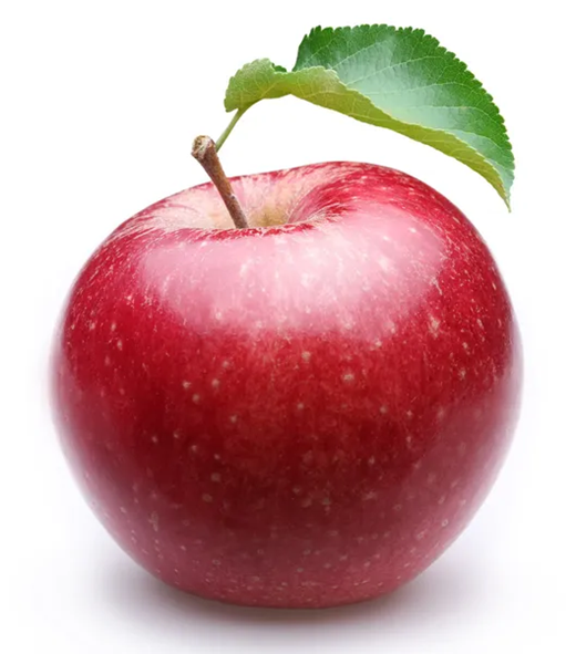 04012474-afd6-520x591.png