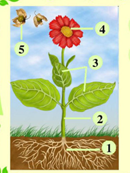 040124n6-c051-190x253.png