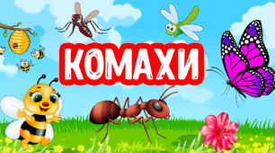 Комахи