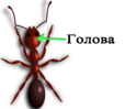 04012502-5589-114x99.png