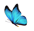 0401256h-4e61-146x136.png