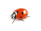 040125hl-0f85-134x101.png