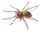 040125j7-dd93-142x107.png