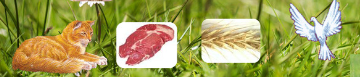 040128sb-a53e-360x77.png