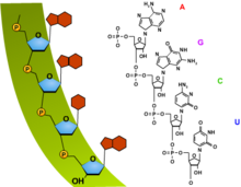 040129ei-5047-220x171.png
