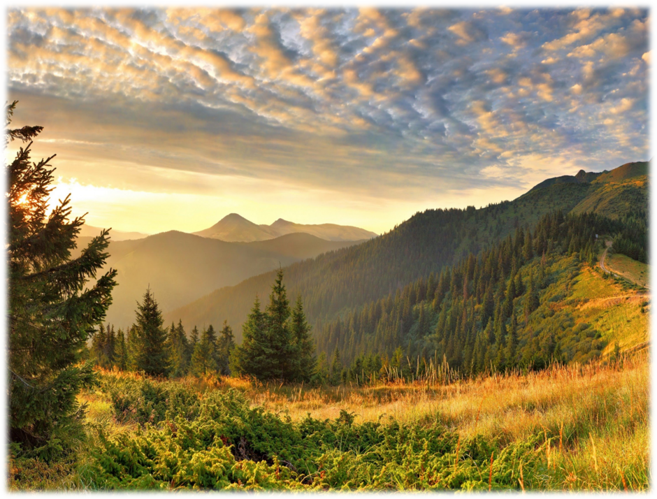 04012ajr-d836-940x714.png