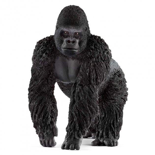 Фигурка Schleich Горила самец (14770) – низкие цены, кредит, оплата частями в интернет-магазине ROZETKA | Купить в Украине: Киеве, Харькове, Днепре, Одессе, Запорожье, Львове