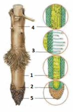 04012dqj-b121-247x377.png