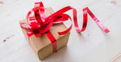 04012e1n-bf63-173x89.jpg